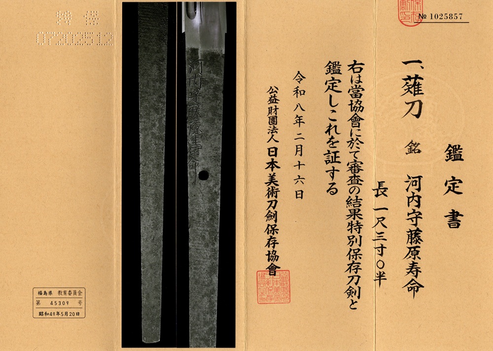 NAG-0033