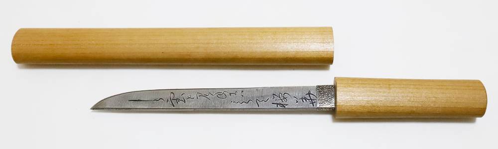 SNT-0113