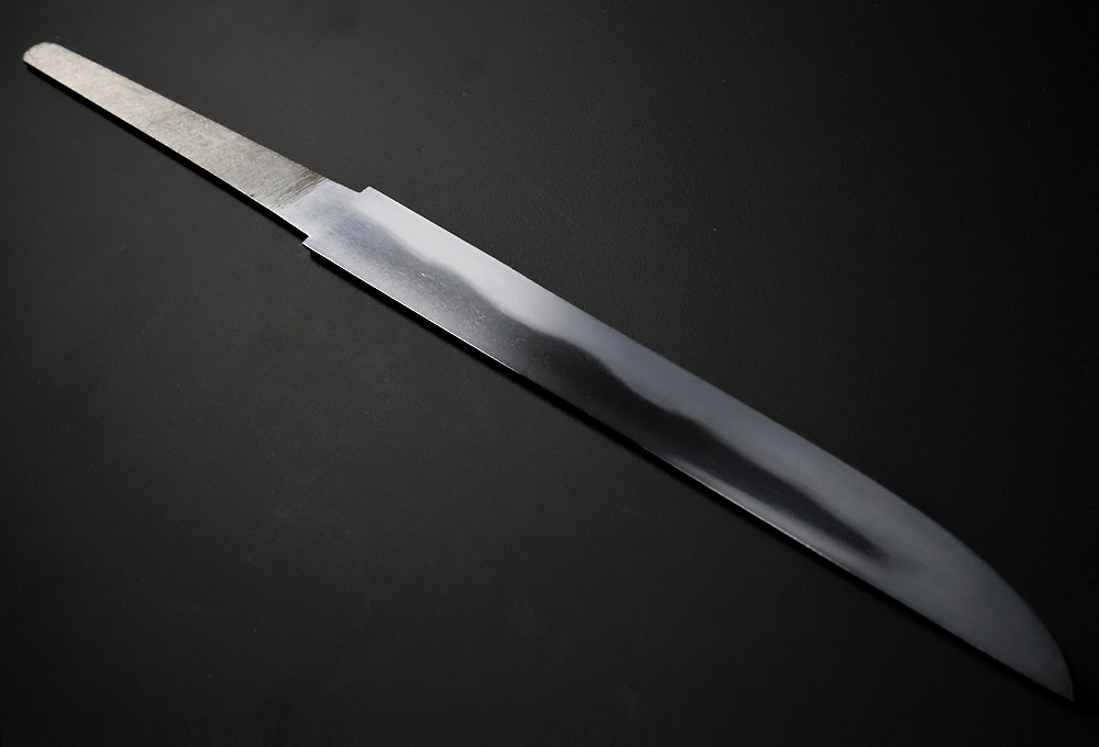 SNT-0113
