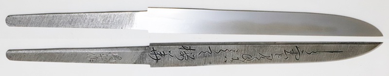 SNT-0113