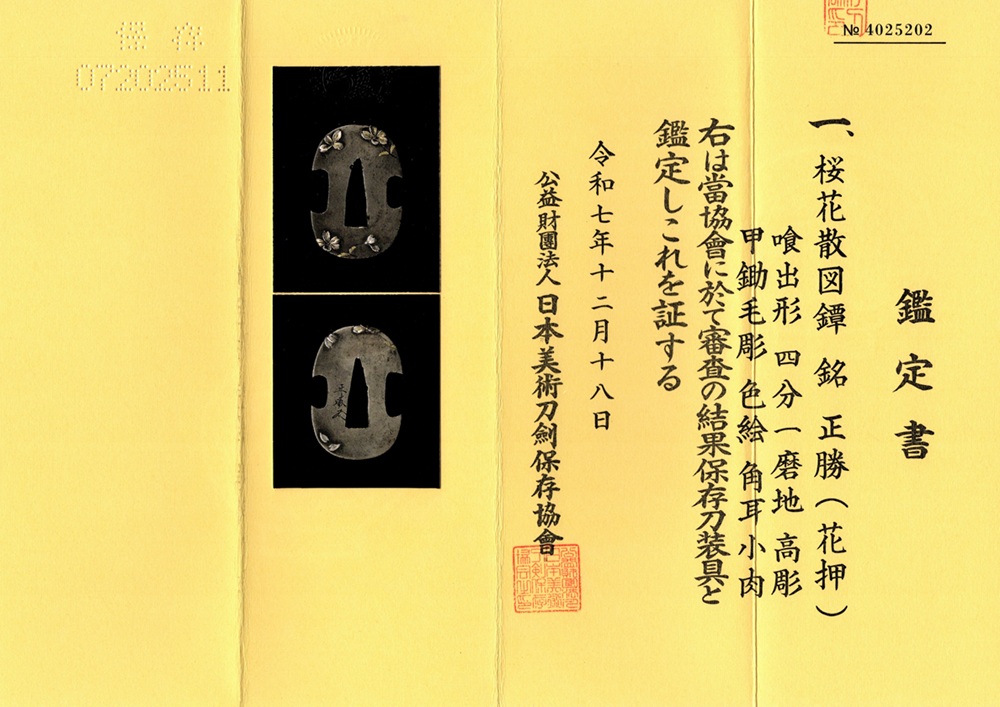 TSU-3101