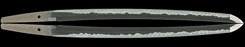 WA-0495