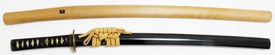 WA-0863