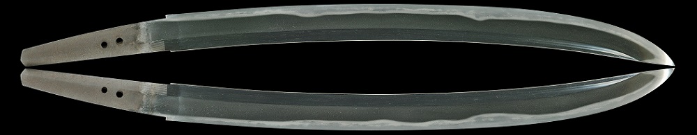 WA-0868