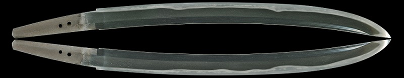 WA-0868