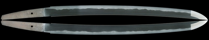 WA-0869