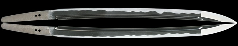 WA-0895